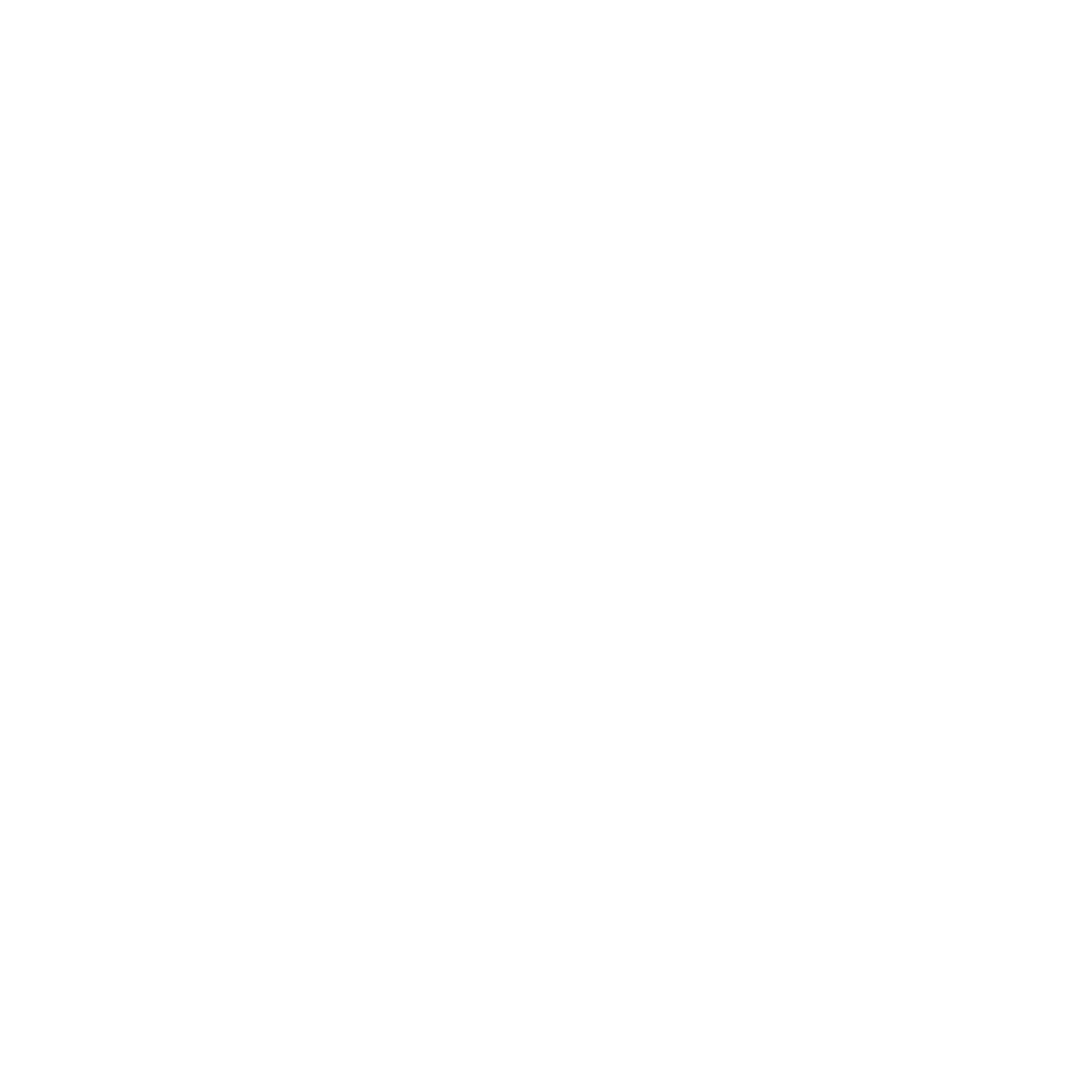 CS Icon